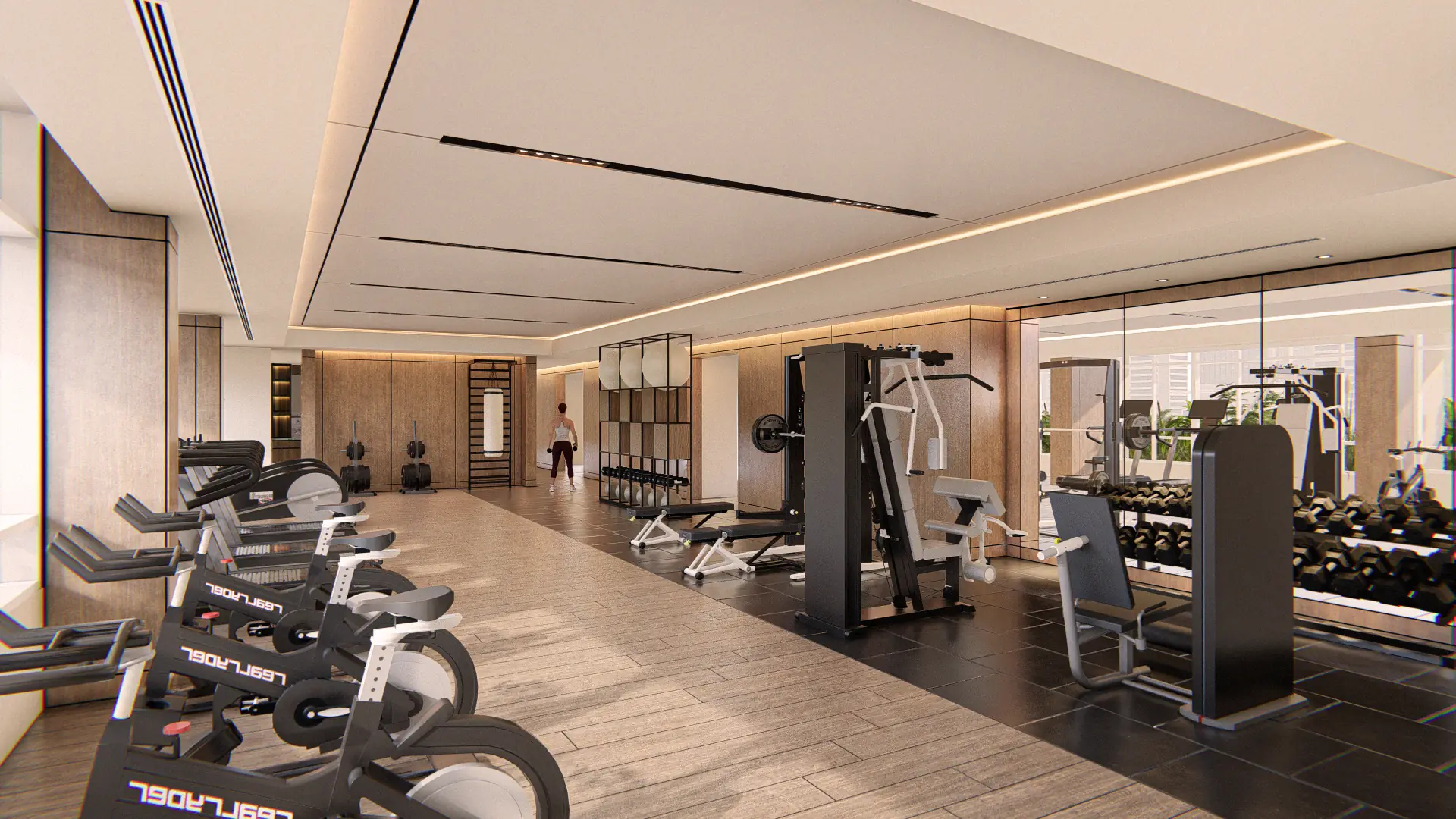 Gimnasio equipado en ÉBANO